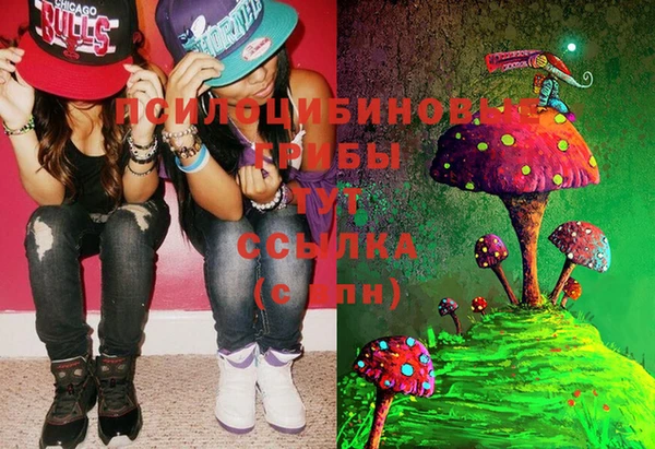 крисы Михайловка