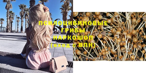 спиды Михайлов