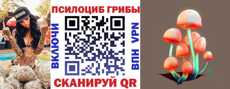 Псилоцибиновые грибы Cubensis  Таганрог 
